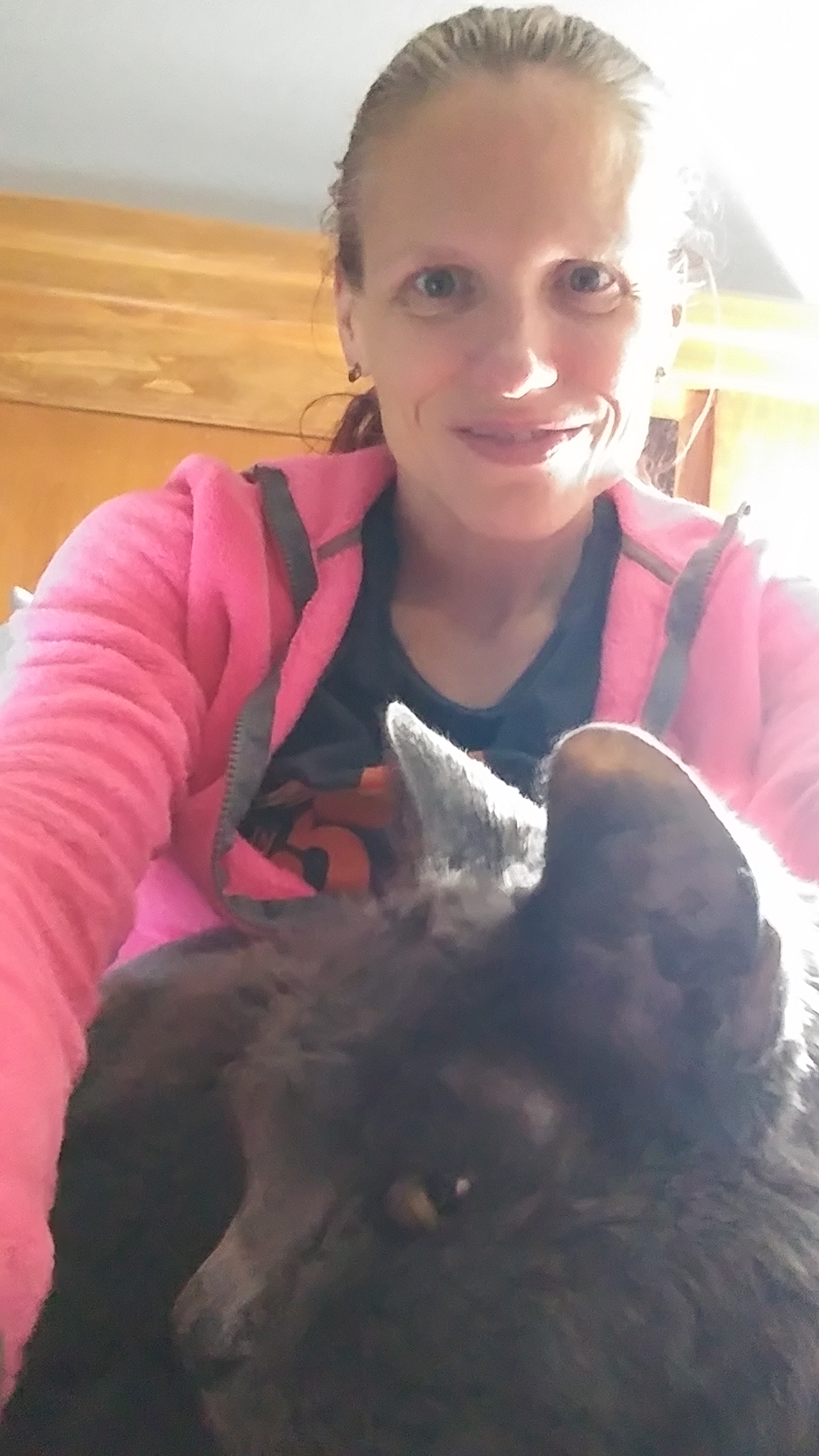 coping with the loss of your cat www.jendionne.com